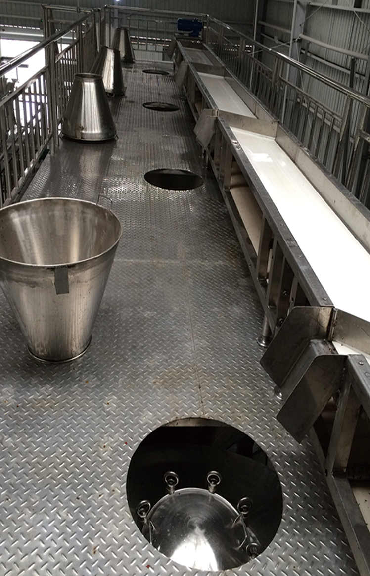 皮帶輸送機